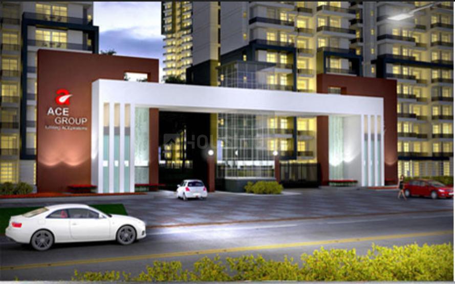 ACE Divino - Image 3