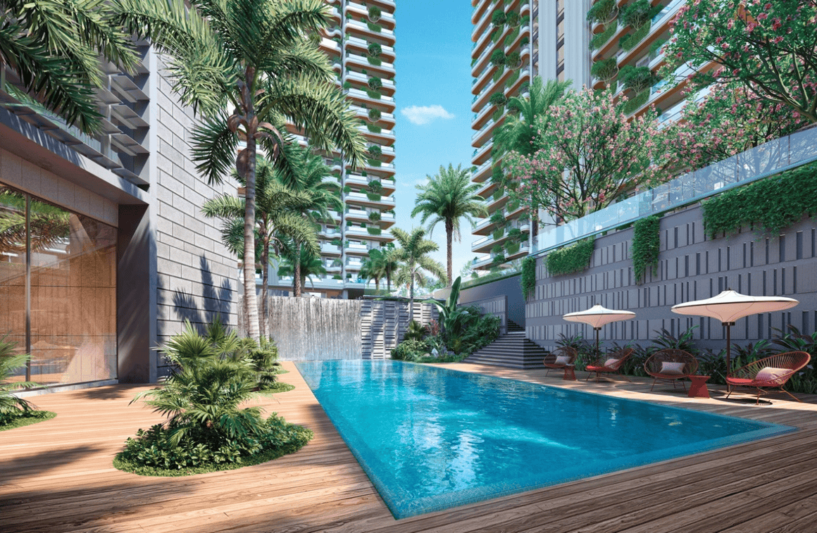 Clove County - Image 6