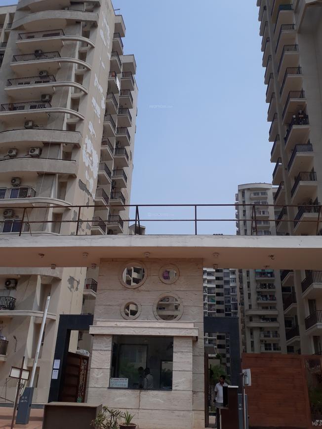 Aims Golf Avenue 2 - Image 2