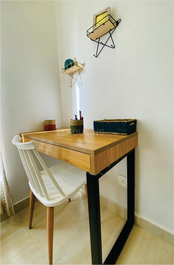 Beetle Orchid - Image 10