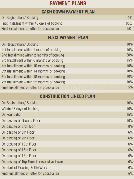 Saya Zion - Image 40