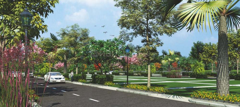 Palm County - Image 7