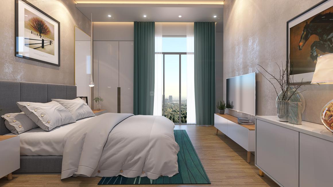 Apex D Rio - Image 12