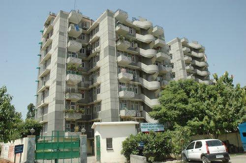 Stellar Greens - Image 4