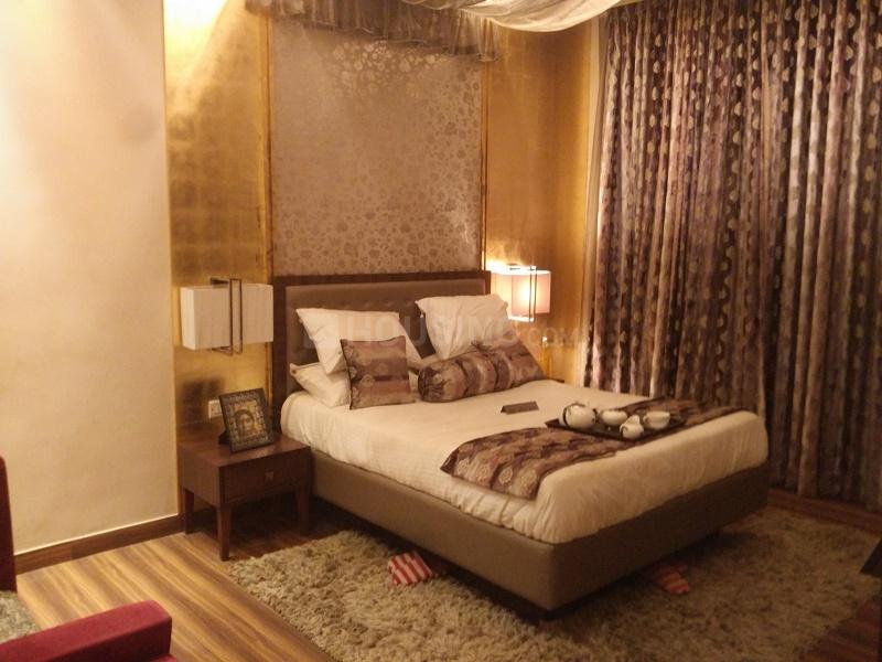 Rise Organic - Image 4