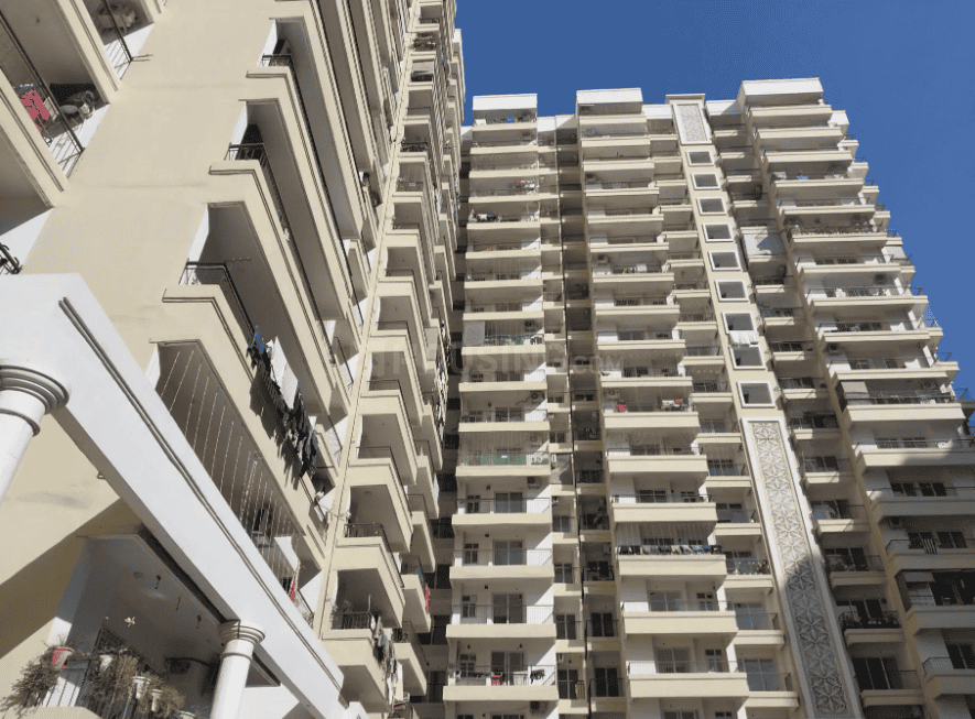 AIG Aigin Royal - Image 4