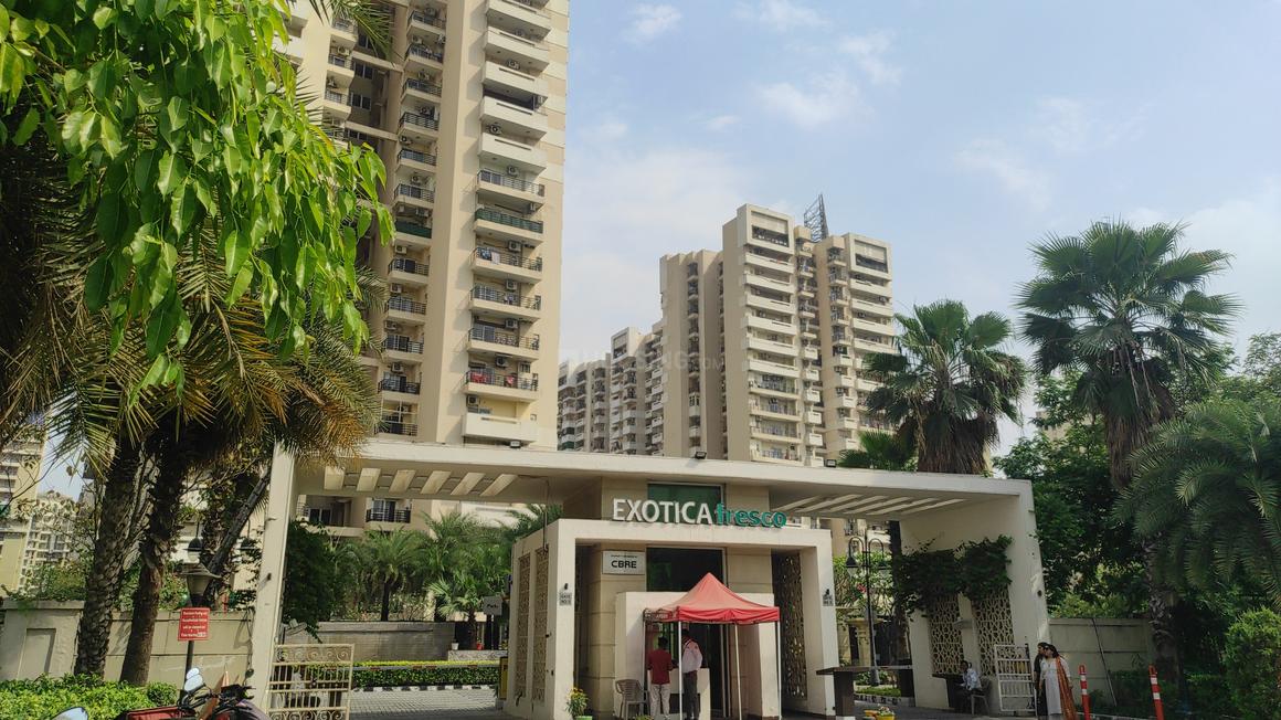 Exotica Fresco - Image 32