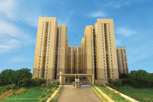 City Grace - Image 3