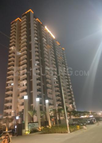 ABA Coco County - Image 2