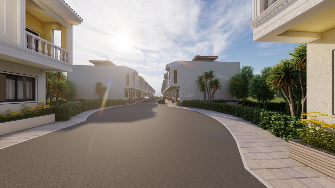 Trinity Primus - Image 13