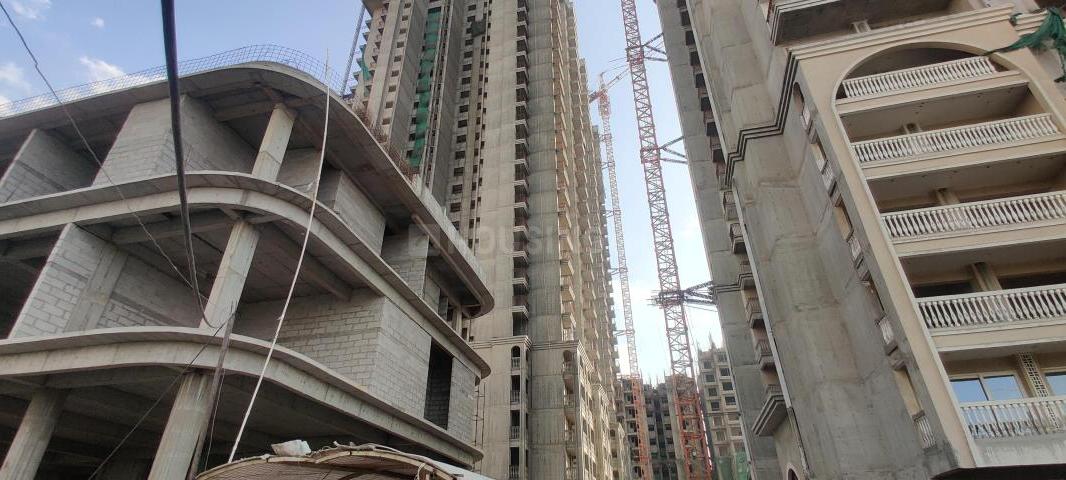 Apex Quebec - Image 32