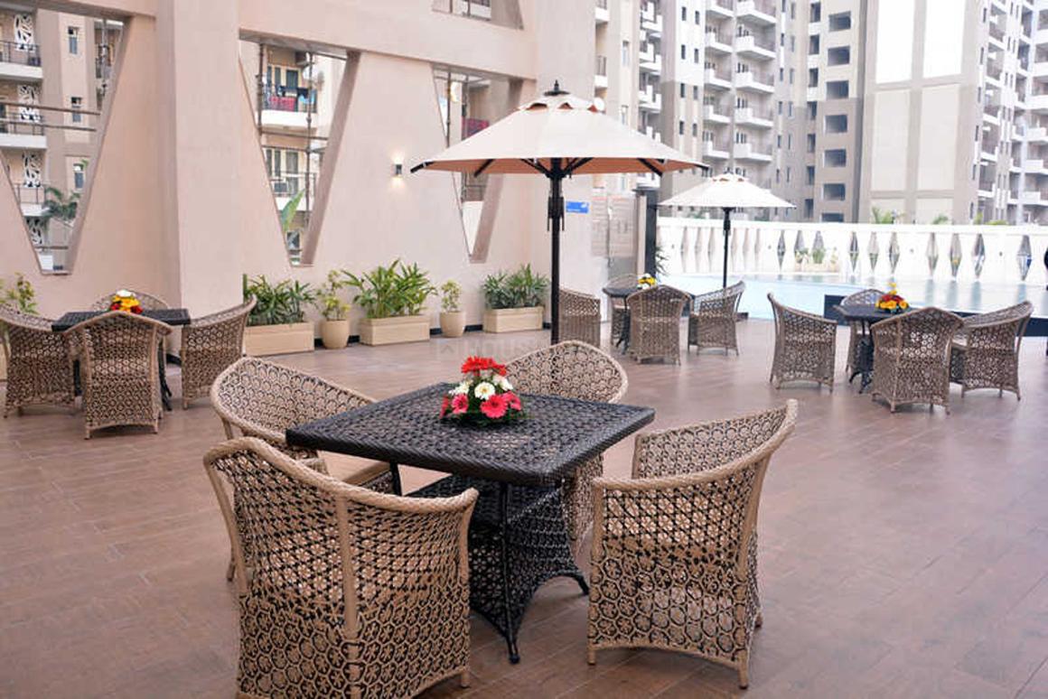 Nimbus The Golden Palms - Image 11