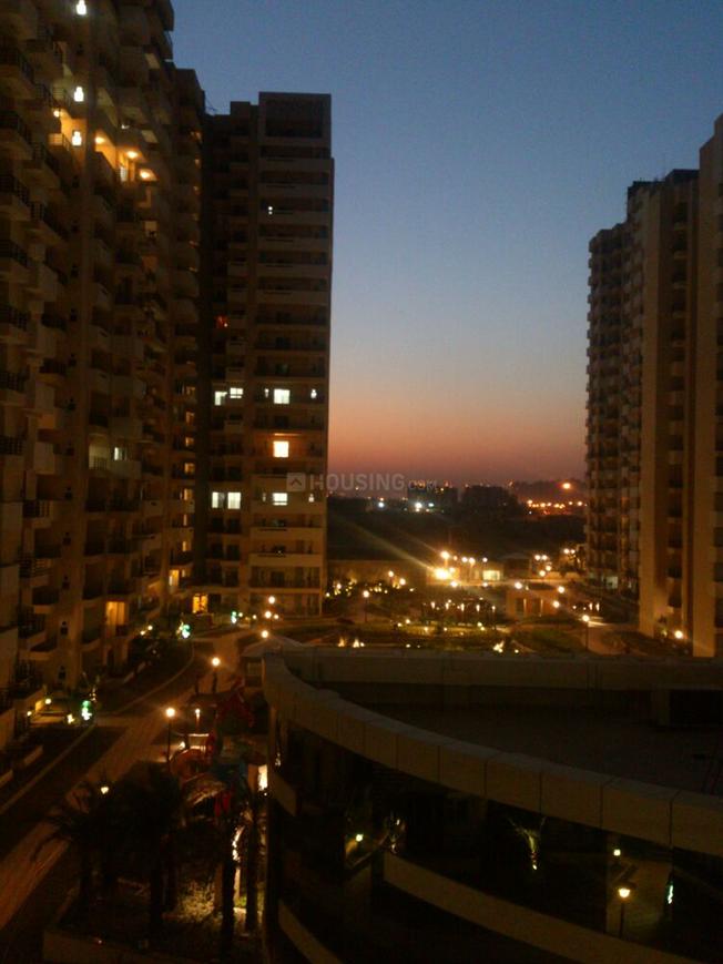 Exotica Fresco - Image 6