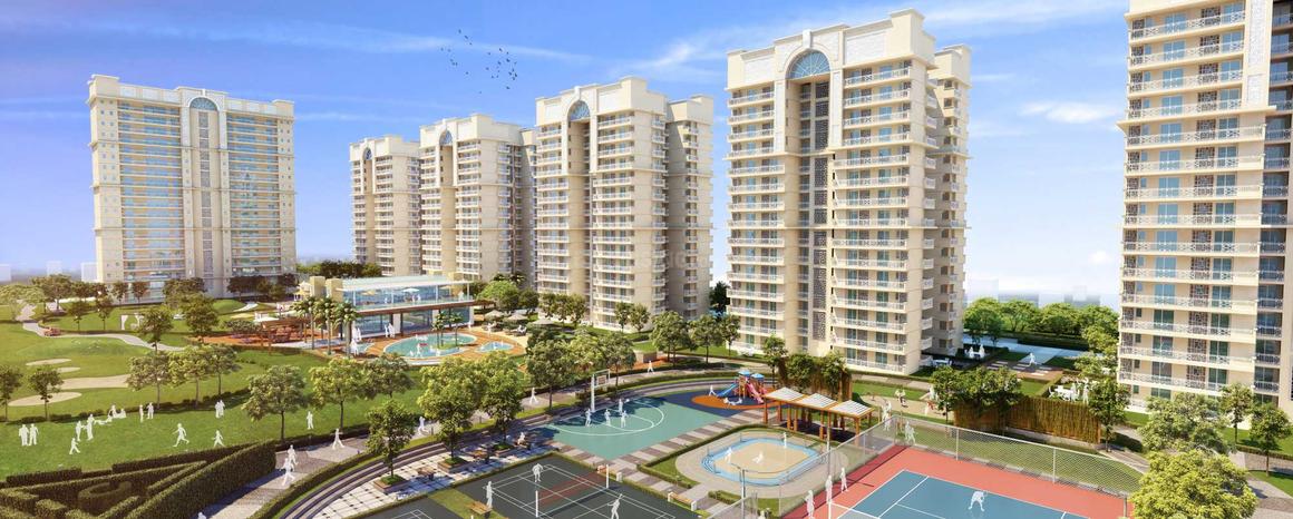 Sethi Venice - Image 5