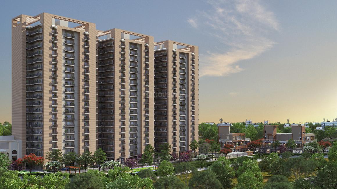 Sriflex City - Image 8