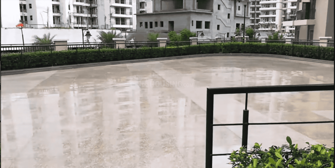 Exotica Dreamville - Image 20