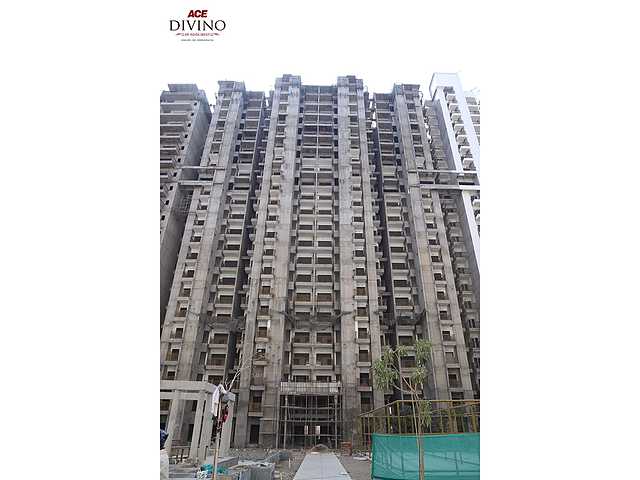 ACE Divino - Image 48