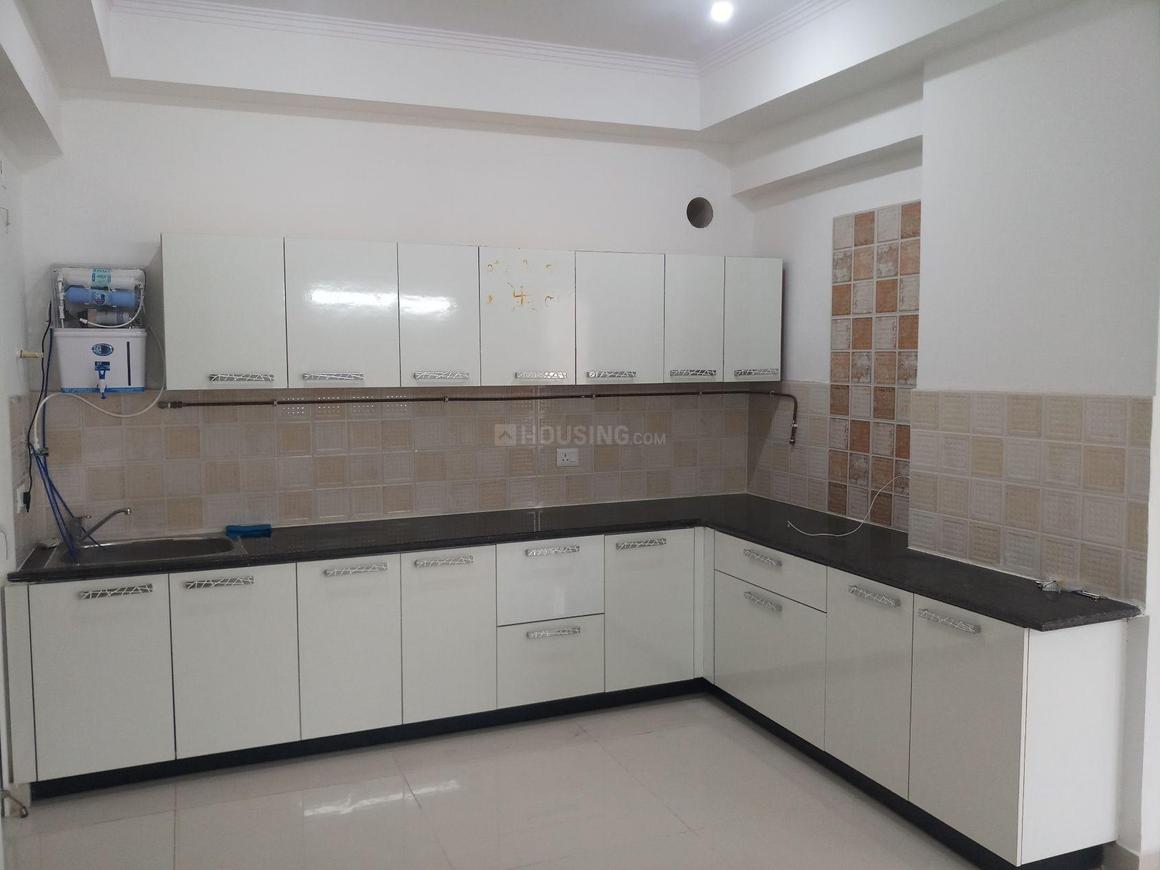 Saya Zion - Image 19