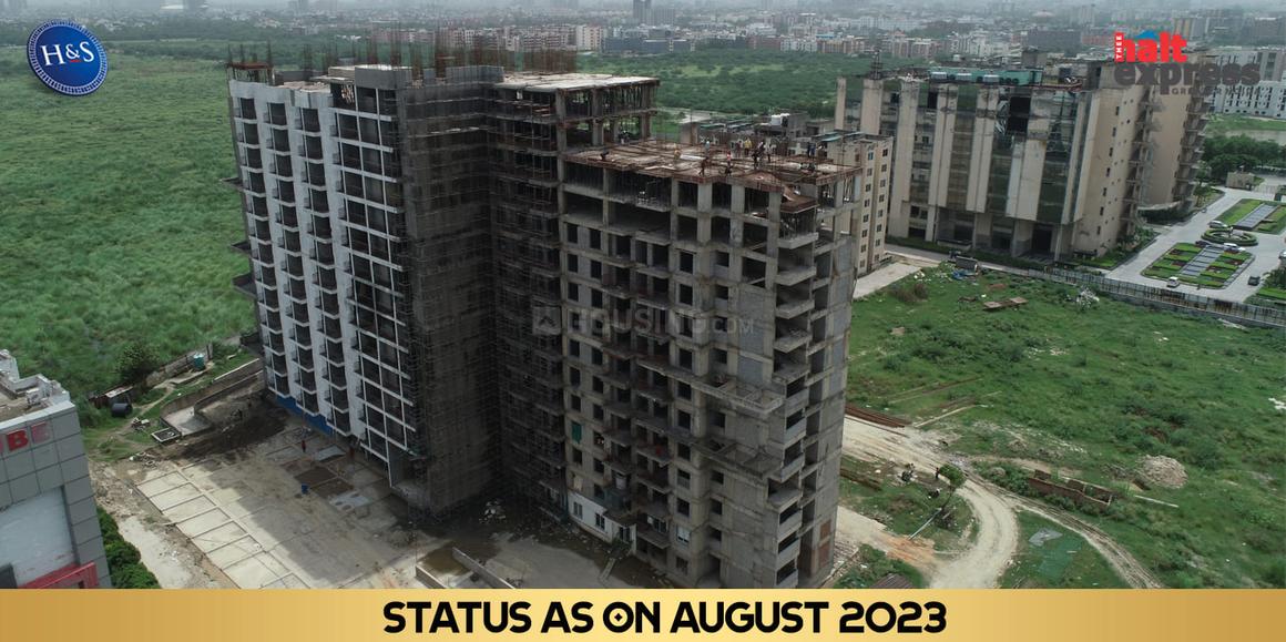 Beetle Orchid - Image 34