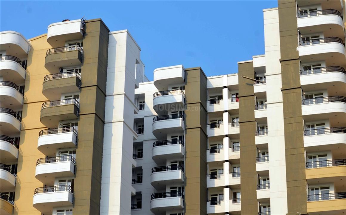 Stellar MI Citihomes - Image 5