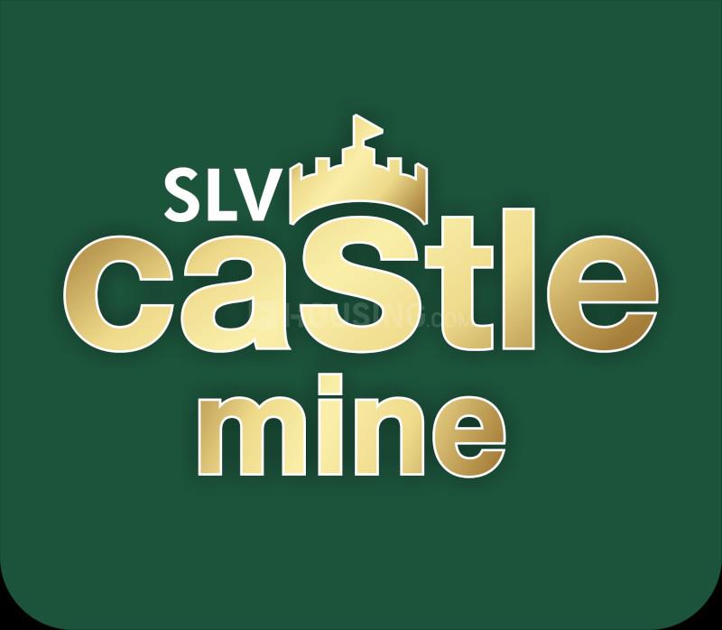 SLV Castle Mine - Image 22