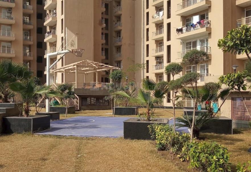 Nirala Greenshire - Image 16