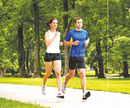 Sikka Kimaantra Greens - Image 12