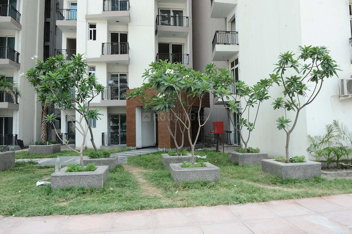 Sikka Karnam Greens - Image 32