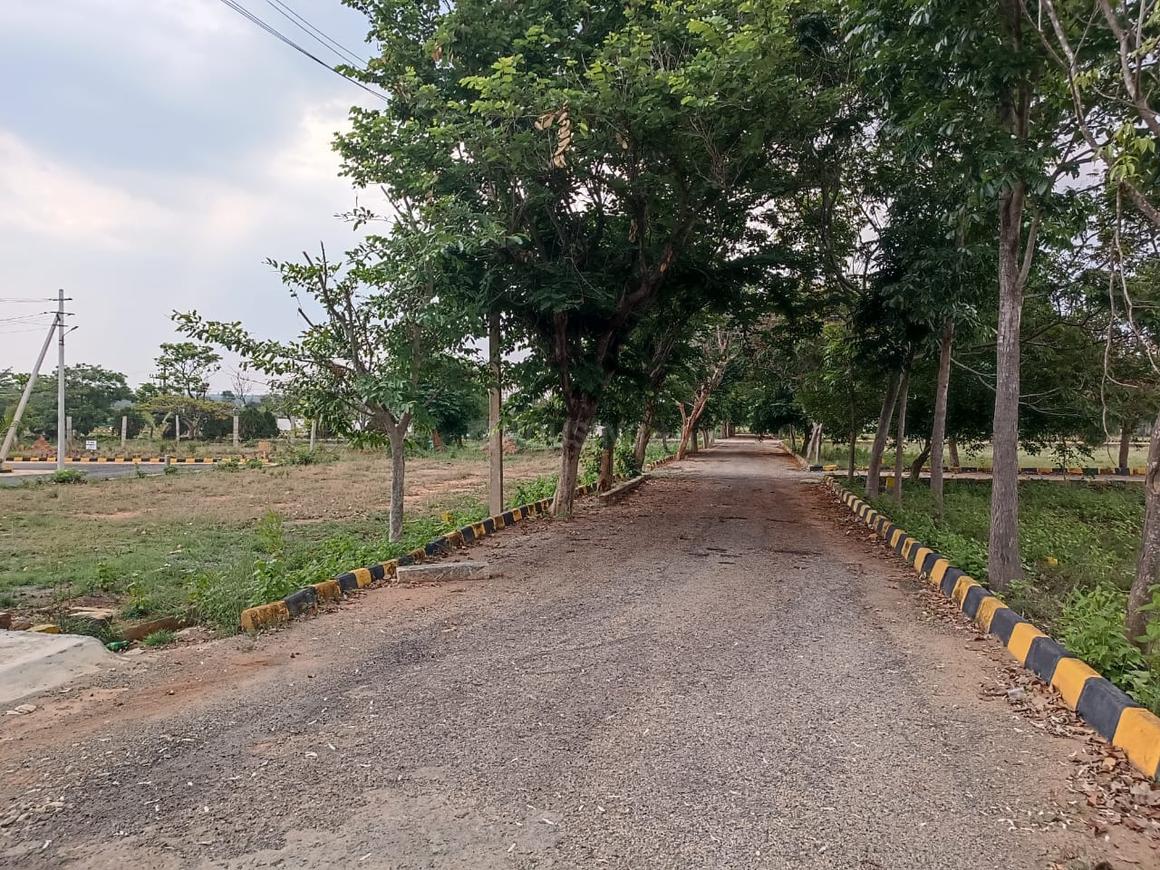 Windsor Township Phase 3 - Image 21