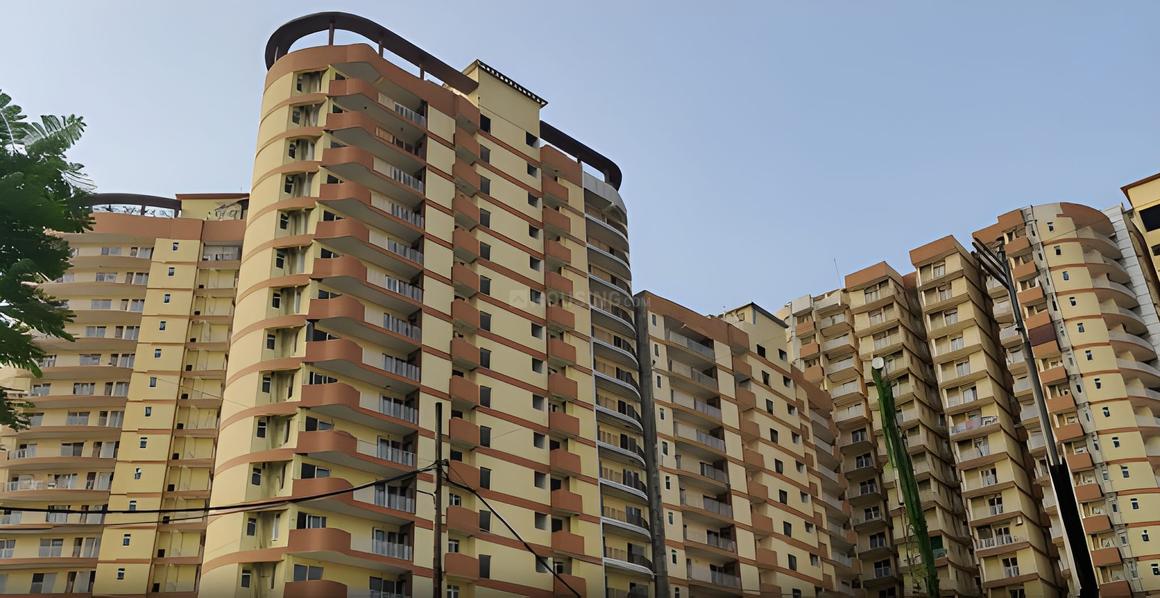 Rise Organic - Image 2