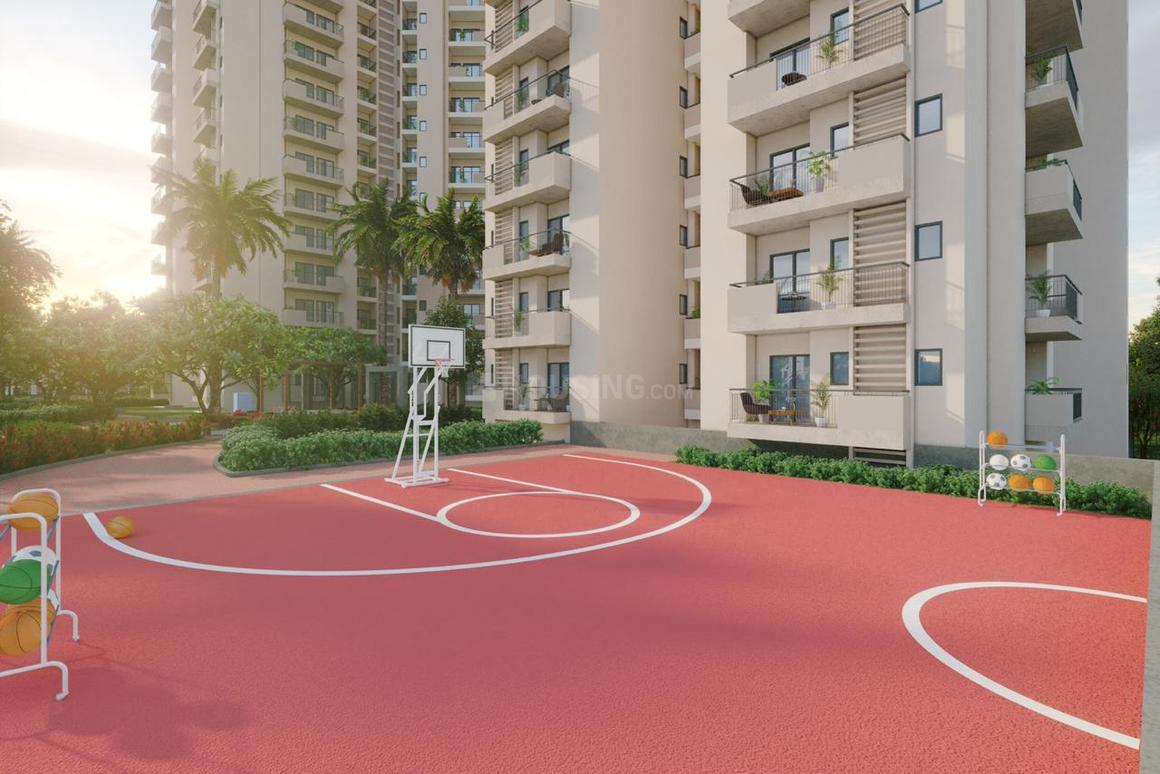 Apex Alphabet - Image 20