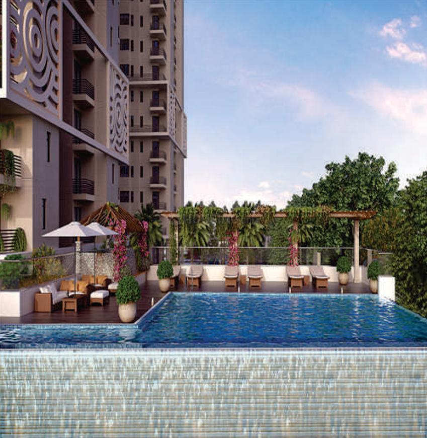 Ratan Pearls - Image 16