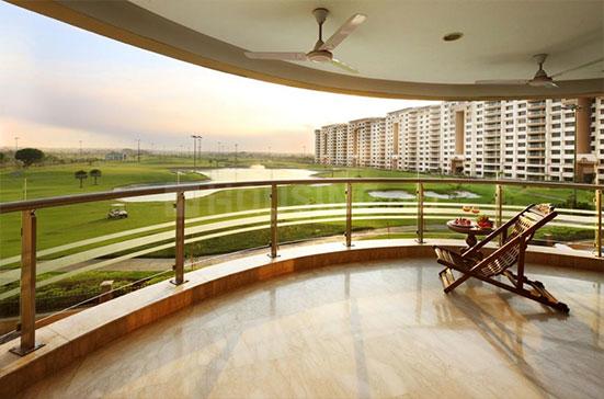 Ambience Caitriona - Image 13