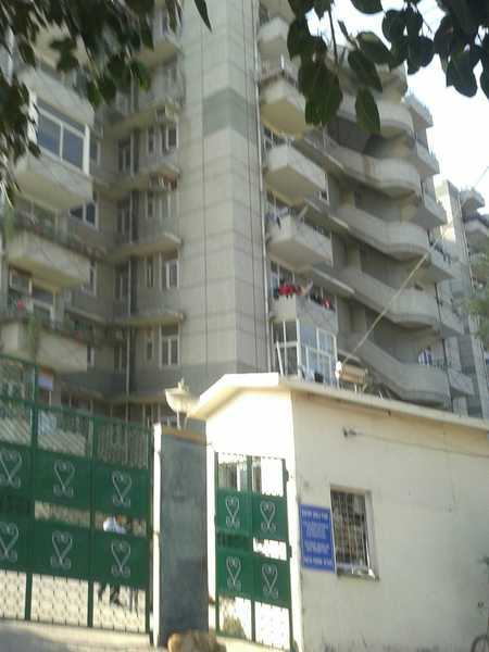 Stellar Greens - Image 2