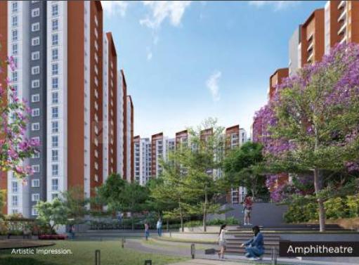 Provident Botanico - Image 12