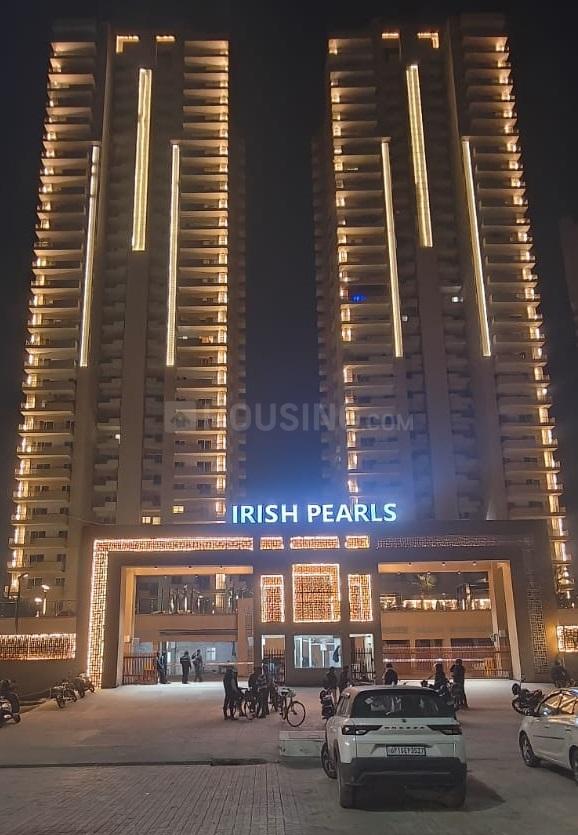 Irish Pearls - Image 3