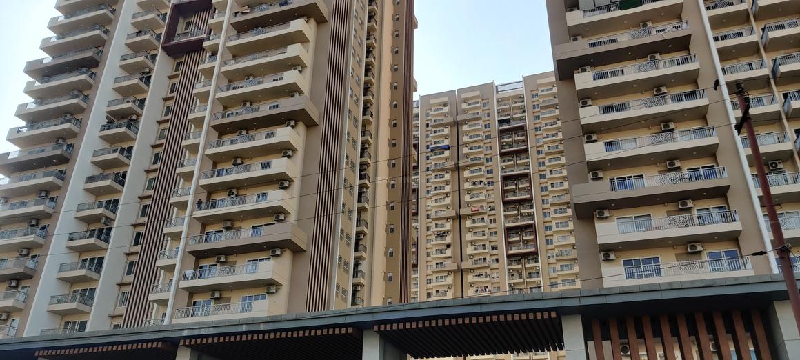 IVY County - Image 3