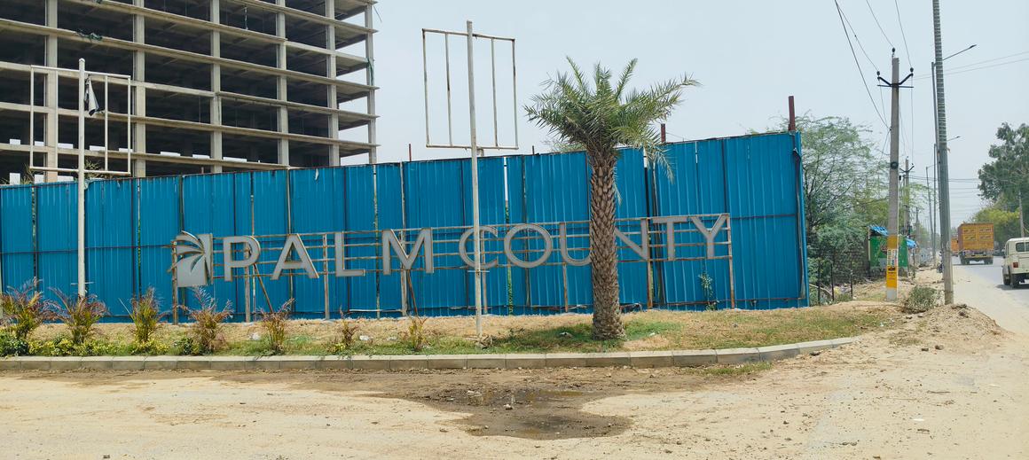 Pyramid Palm County - Image 11