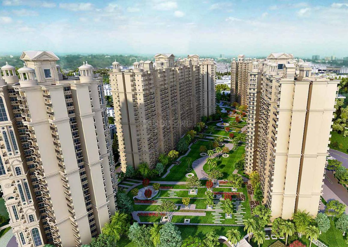 Ajnara Ambrosia - Image 4