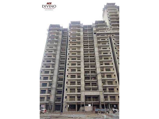 ACE Divino - Image 49