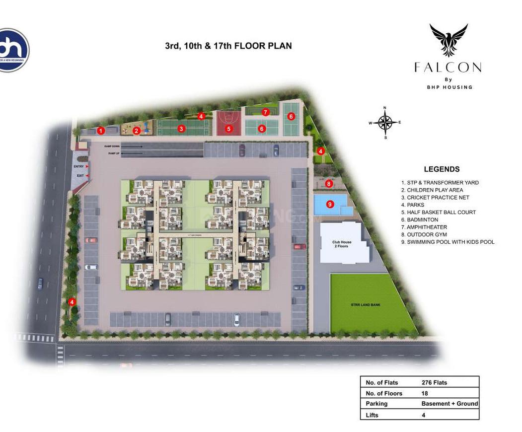Falcon - Image 29