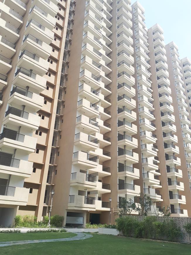 ACE Group Platinum Zeta 1 - Image 9