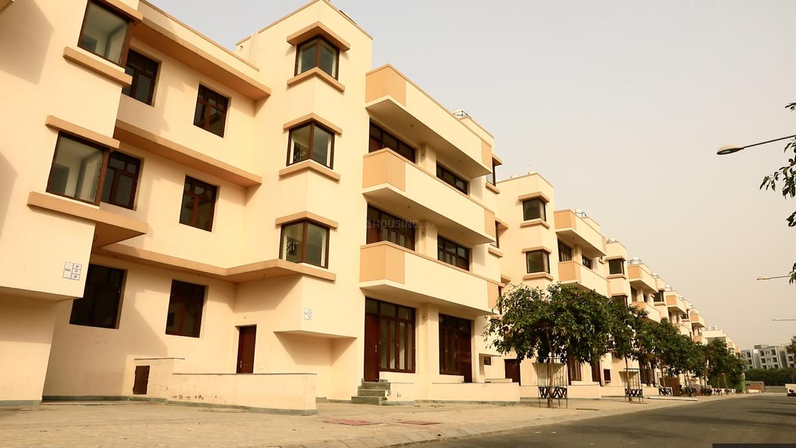 Wave Floors - Image 3