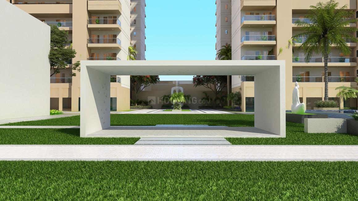 SKA Orion - Image 15