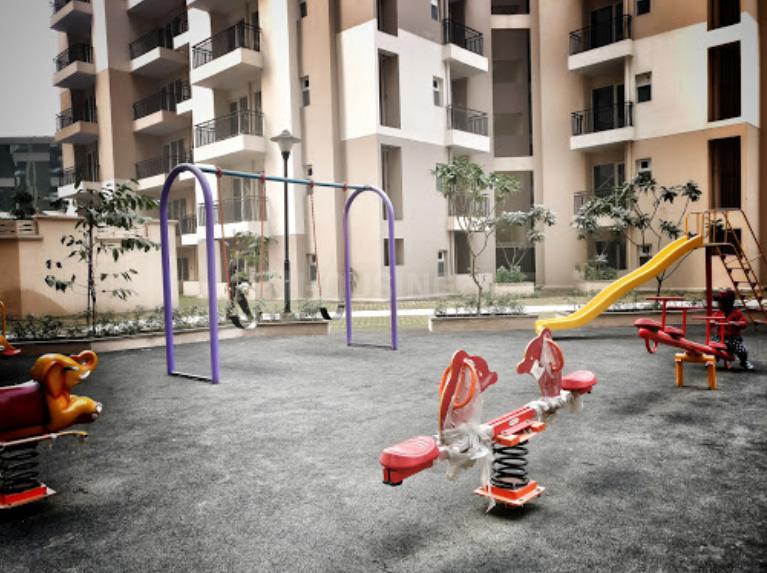 Exotica Dreamville - Image 21