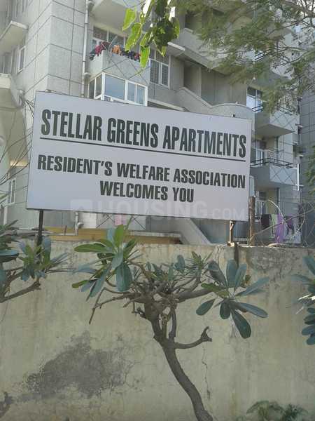 Stellar Greens - Image 14