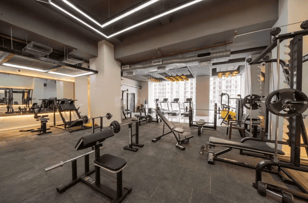 AIG Aigin Royal - Image 35