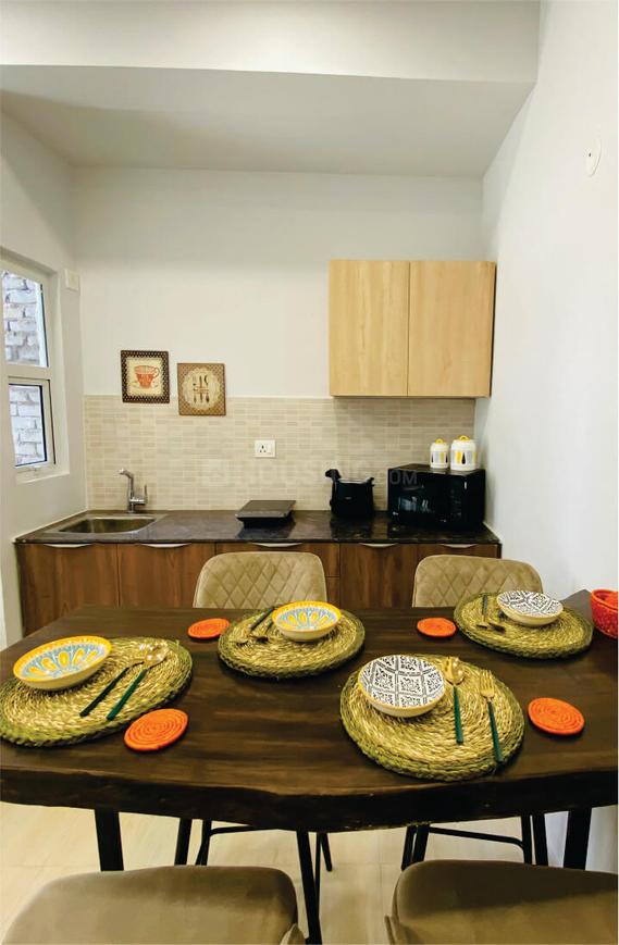 Beetle Orchid - Image 11