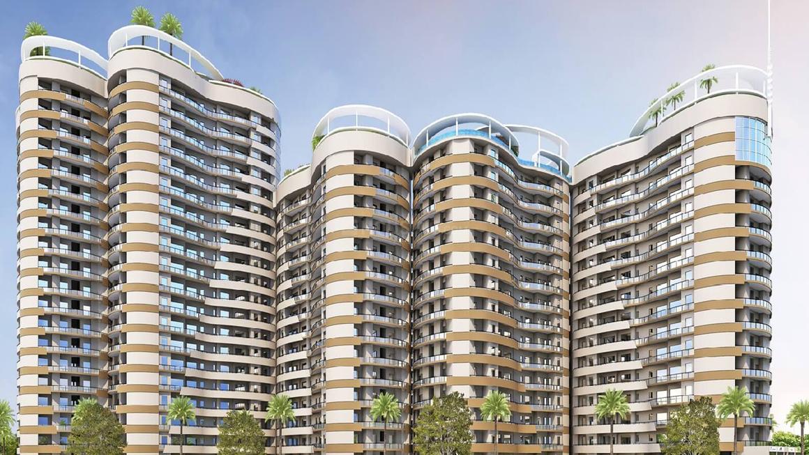 Rise Organic Ghar - Image 2