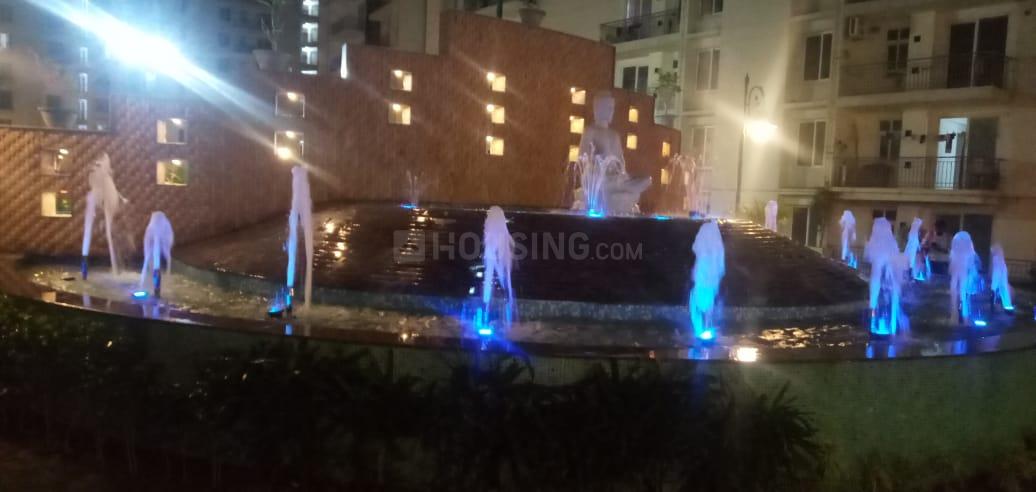 AFOWO Raksha Addela - Image 8